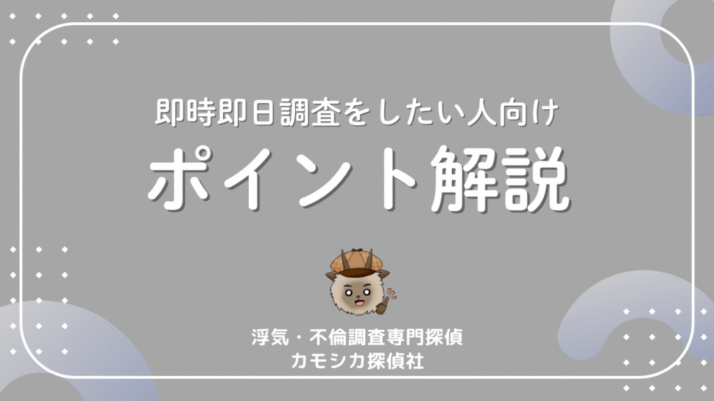即時即日調査をしたい人向けポイント解説